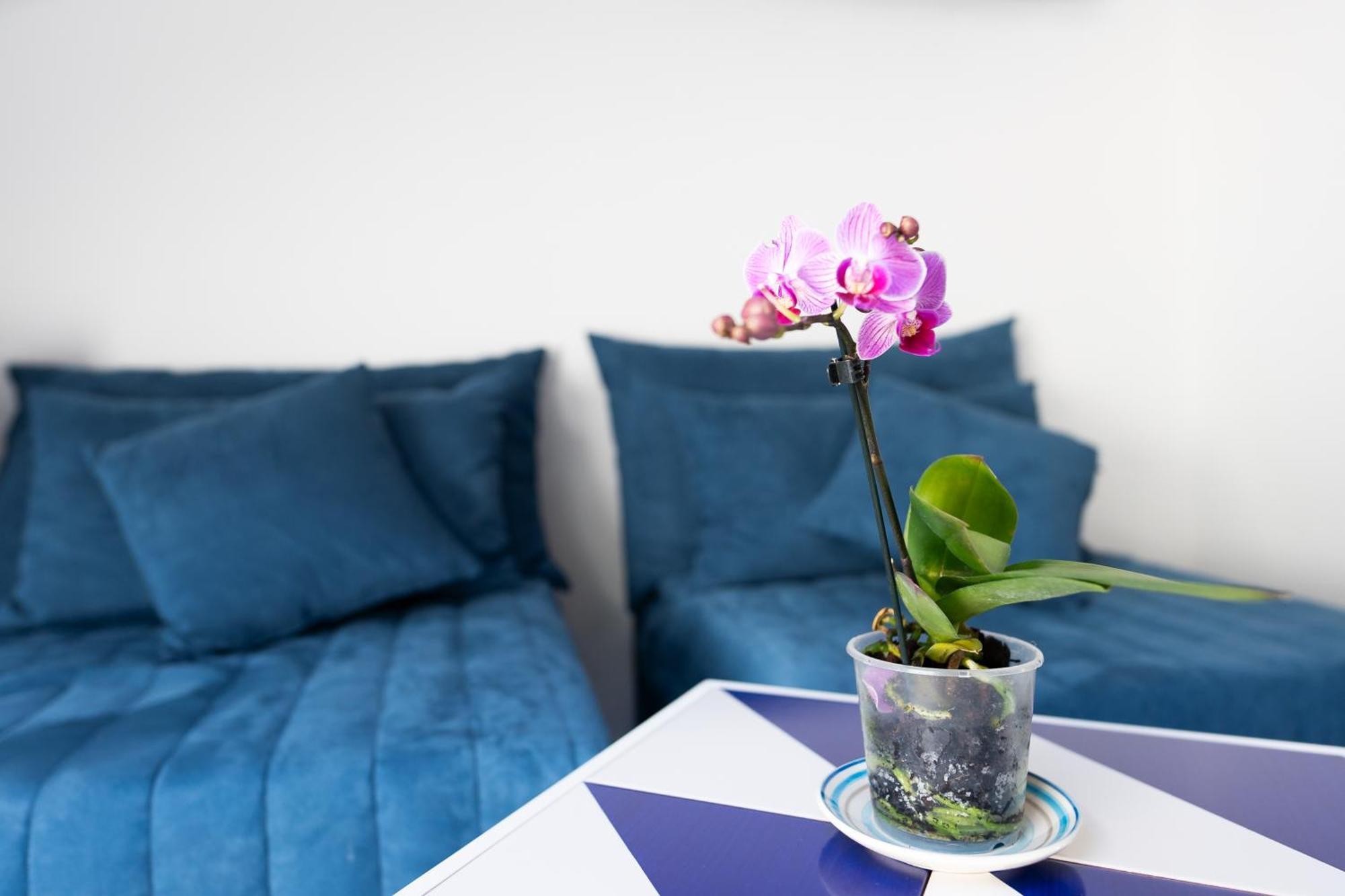 Annalara Charme And Relax Guest house 2*